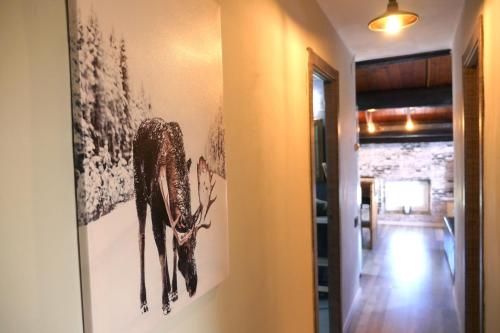  Greta, apartament cèntric i amb encant in Tremp