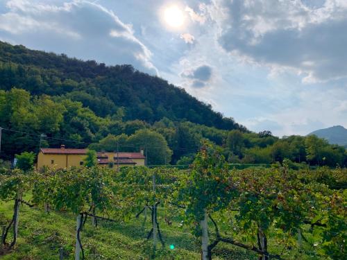 Euganean Hills Natural Park: Casale Il Boschetto - Torreglia