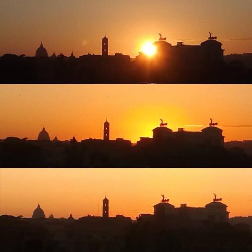 Il nido al Colosseo - image 7