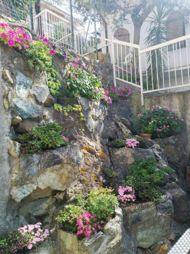 La Roccia Fiorita Appartamento con giardino e Jacuzzi