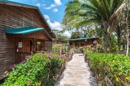 Dream Valley Belize