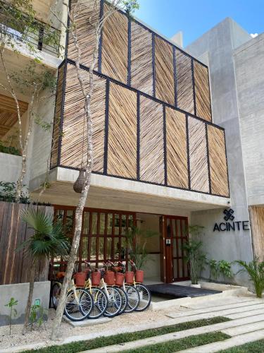 Jungle View 2bed 2bath Condo/ Wi-Fi/ Pool/ Gym Room Type - Two-Bedroom Apartment Jungle View 2bed 2bath Condo/ Wi-Fi/ Pool/ Gym Room Type - Two-Bedroom Apartment