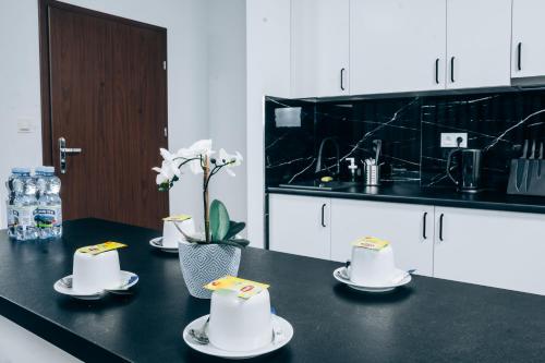 Зручності, Apartamenty EXPO Nadarzyn 3Rooms in Уілга