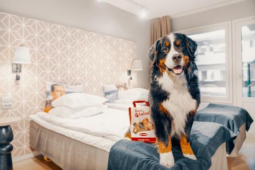 Original Sokos Hotel Vaakuna Mikkeli - image 9