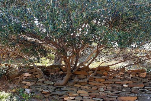 Traditional stone house 1bedroom, sea view, Syros