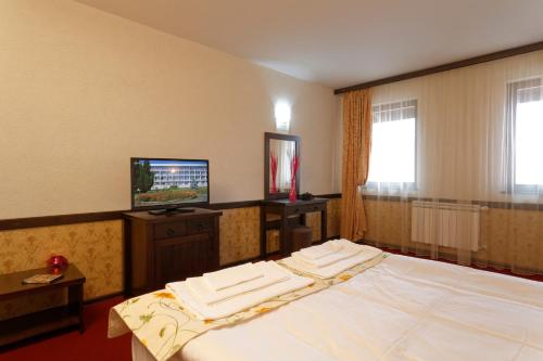 Double Room room in Trinity Residence Bansko