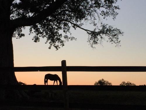 The Farmhouse Inn - Accommodation - Madison