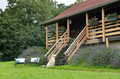 Le Chalet d’Eliot