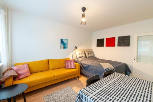 Renovated bright Studio, Free wifi, City center