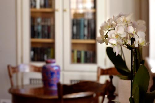 Villa Zuccari - image 9