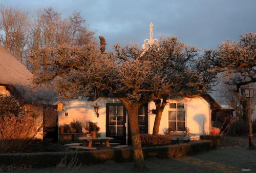 B&B Oosternijkerk - The Wee White Hoose - Bed and Breakfast Oosternijkerk