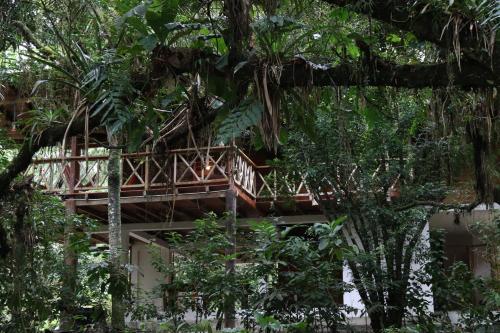 Caoni Riverside Suites - Birders Paradise by the river, Ecuadorian Chocó