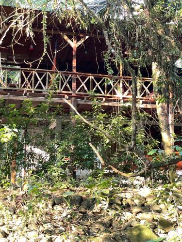 Caoni Riverside Suites - Birders Paradise by the river, Ecuadorian Chocó