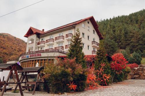 Accommodation in Păltiniş