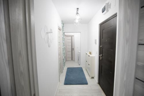 Hol, Apartament CENTRAL in Centru oraș