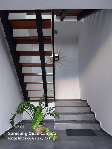. Scala Studio Apartments