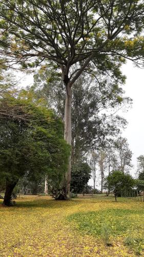 Fazenda Santa Clementina