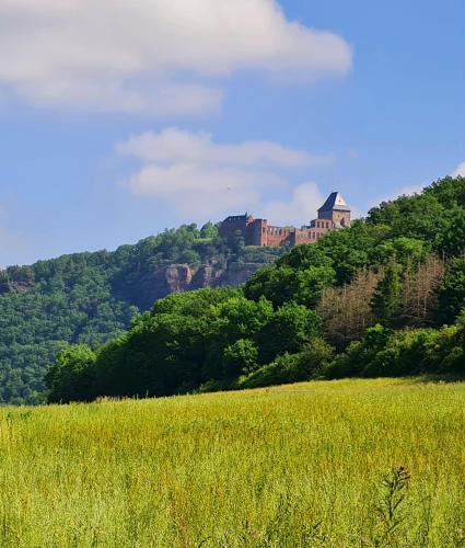 Eifelhof mit Obstbaumwiese