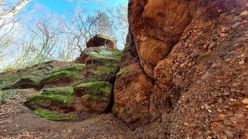 Eifelhof mit Obstbaumwiese