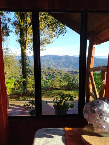 Reserva Natural Cerro Alto in Near Center