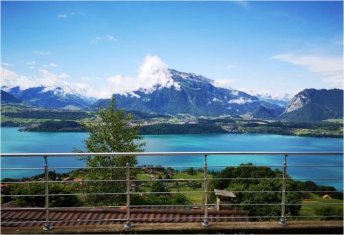 Chalet with view of the mountains and the Thun lake