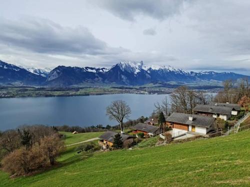 Chalet with view of the mountains and the Thun lake