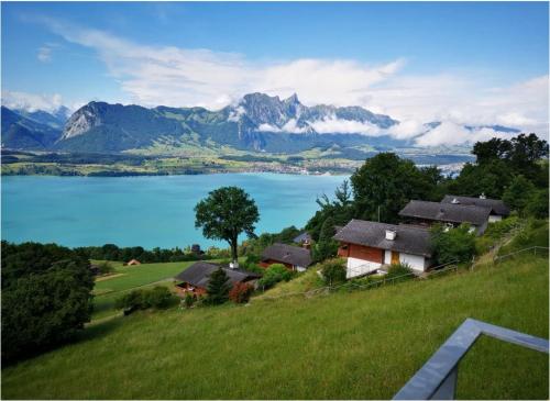 Chalet with view of the mountains and the Thun lake