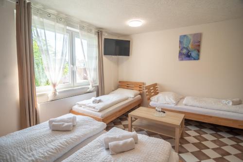 Mikulov - Inn - hotel s vinným sklepem Venuše