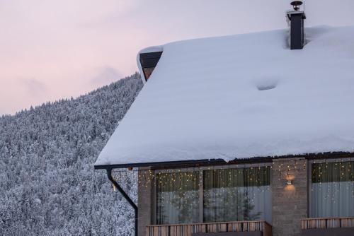 Boutique Skipass Hotel - image 12