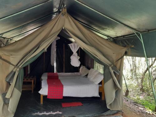 leruk Maasai safari camp