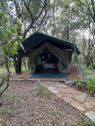 leruk Maasai safari camp