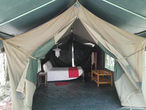 leruk Maasai safari camp