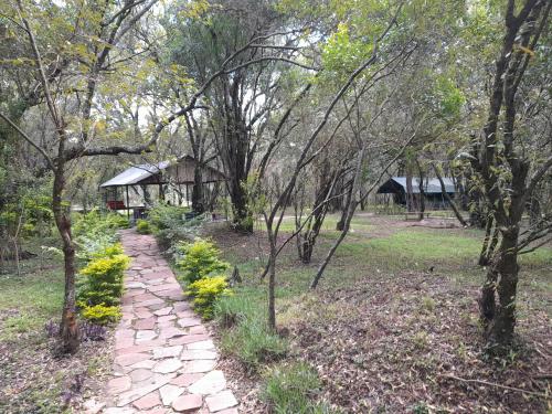 Leruk Maasai Mara Camp in นาร็อค