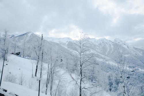 Rosa Ski Inn Apartments Rosa Khutor - image 3