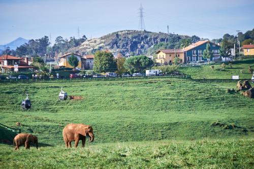 Posada Naturae