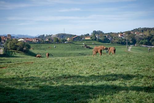 Posada Naturae