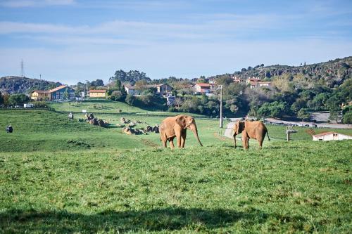 Posada Naturae