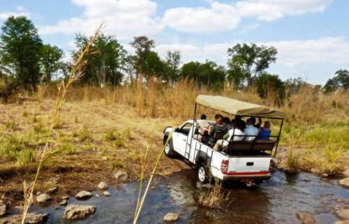 Bungalow 1 on this world renowned Eco site 40 minutes from Vic Falls Room Only - 1981