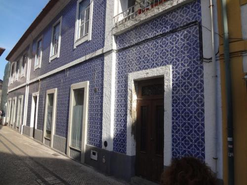Ficus Benjamina, Aveiro (photo 5)