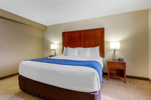 Comfort Suites Fredericksburg South - image 11