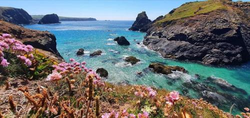 Cowshed Cottage - image 8