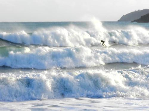 Cowshed Cottage - image 11