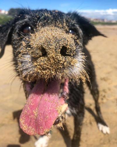 Cowshed Cottage - image 4