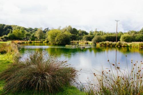 Brookhall Cottages - image 10