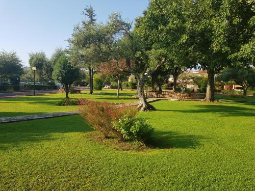 Appartamento da Francesco Villaggio degli Ulivi San Teodoro - San Teodoro