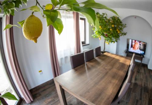 Iekārtas, AGROPENSIUNEA LUK in Remetea
