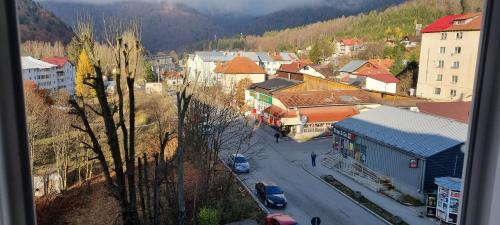Azuga apartament