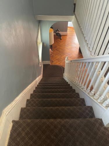 Royalbluecozy in Saint Albans, USA