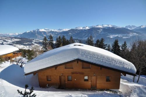 Chalet Brune-Haute - Anzère