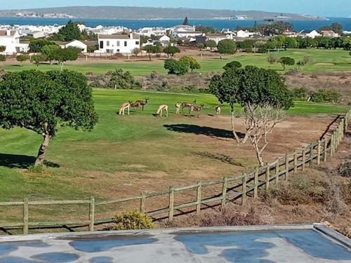 pole golfowe – na miejscu, Langebaan Golf Estate - Signature Hole 24hrs power in Langebaan Country Estate